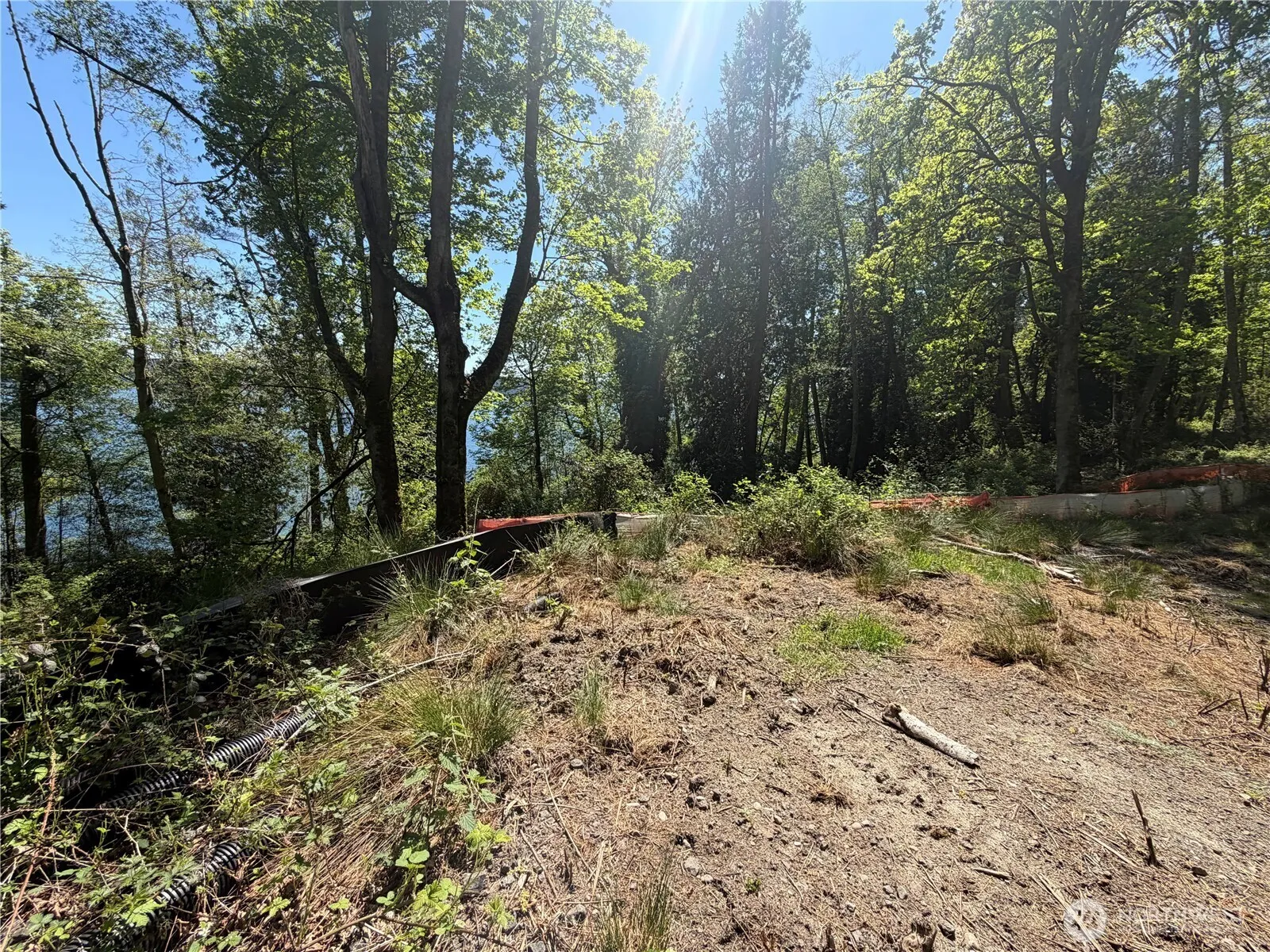 Property photo for 7099 Wilson Creek Road Se, Port Orchard photo 3