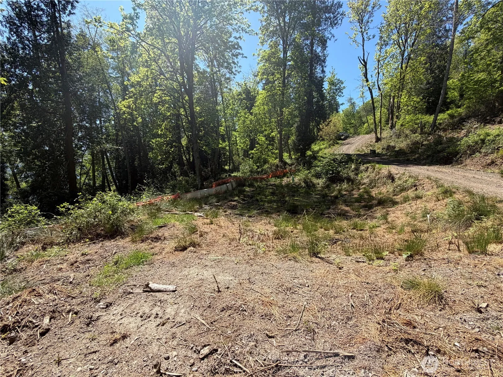 Property photo for 7099 Wilson Creek Road Se, Port Orchard photo 4
