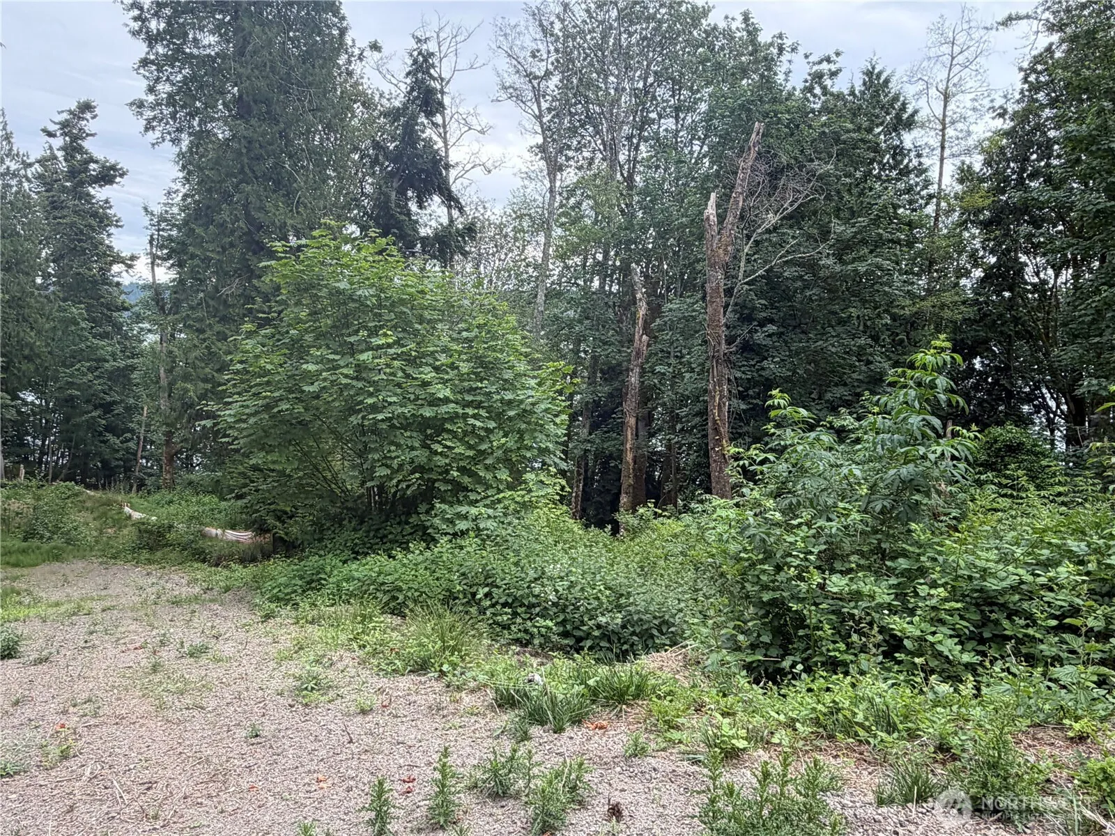 Property photo for 7095 Wilson Creek Road Se, Port Orchard photo 5