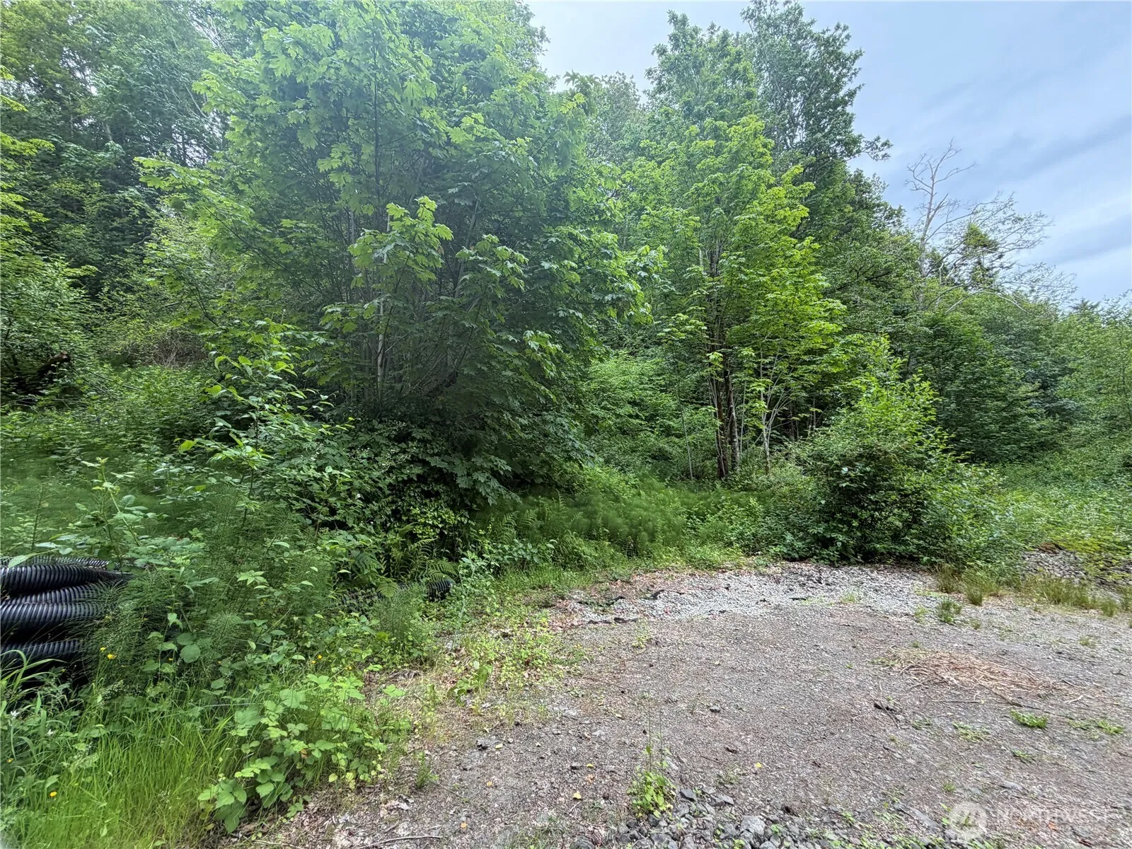 Property photo for 7095 Wilson Creek Road Se, Port Orchard photo 4
