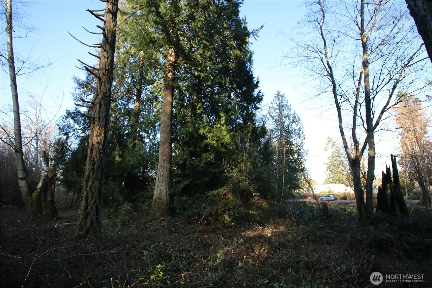 Property photo for 0 91st Ave Sw, Vashon