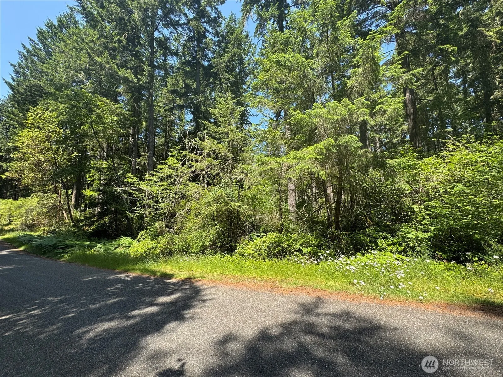 Property photo for 11409 & 11413 Hillcrest Drive, Anderson Island