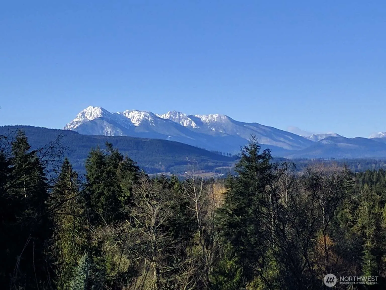 Property photo for 823 Fox Hollow Road, Sequim photo 3