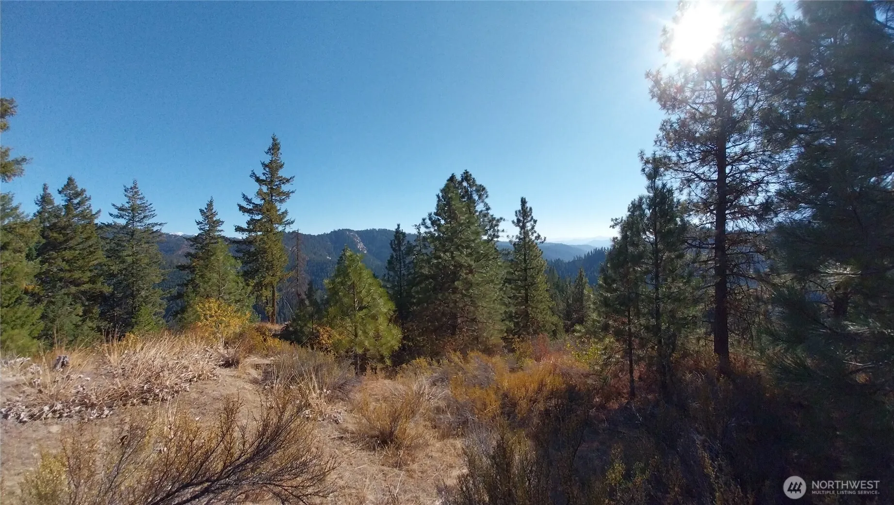 Property photo for 11685 Sunitsch Canyon Rd, Leavenworth photo 5