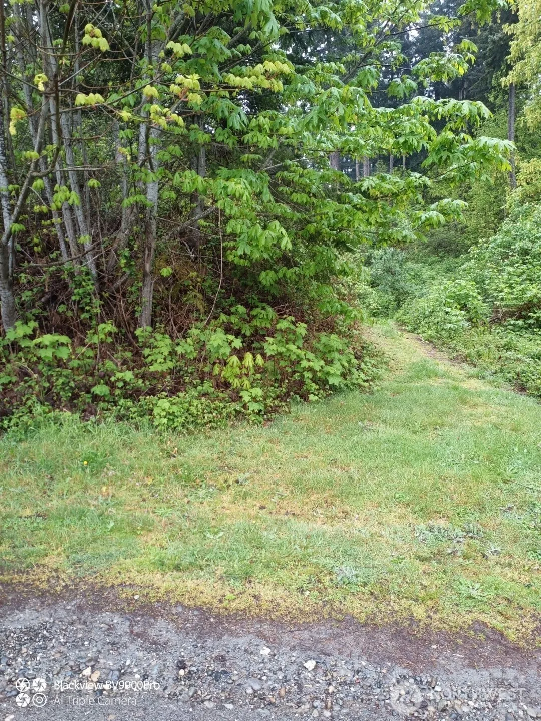 Property photo for 73 G Mukilteo Way, Hat Island
