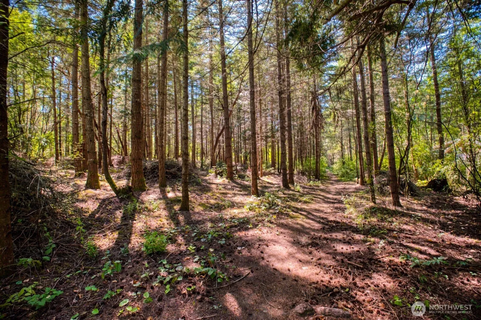 Property photo for 0 Lots 3&4 Grant Street, Port Townsend photo 5