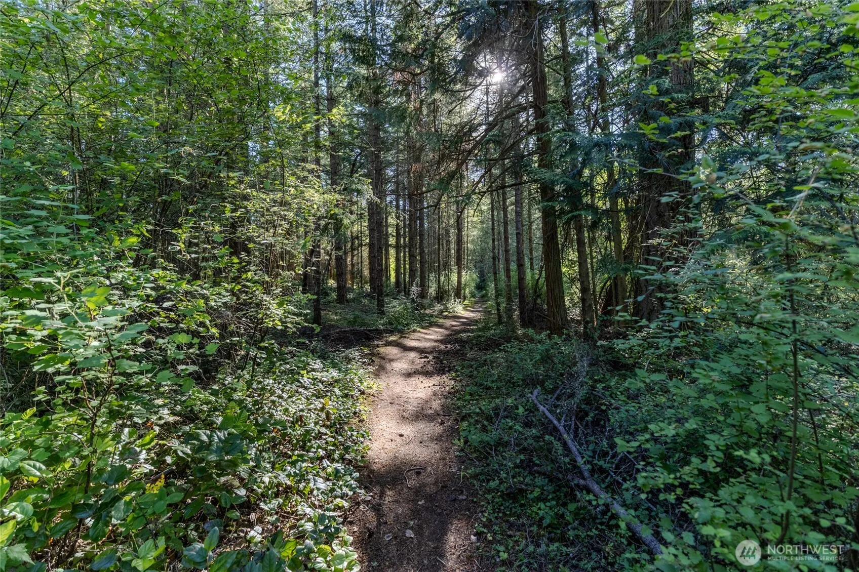 Property photo for 0 Lots 3&4 Grant Street, Port Townsend photo 4