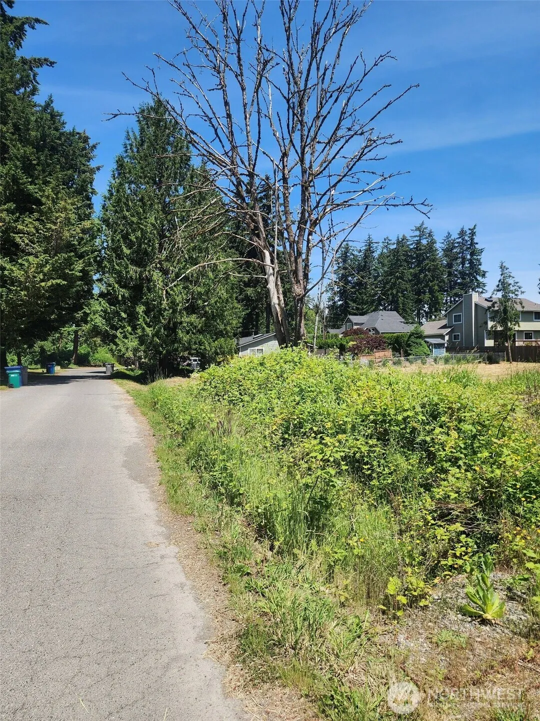 Property photo for 376 Xx 47th Avenue S, Auburn photo 3