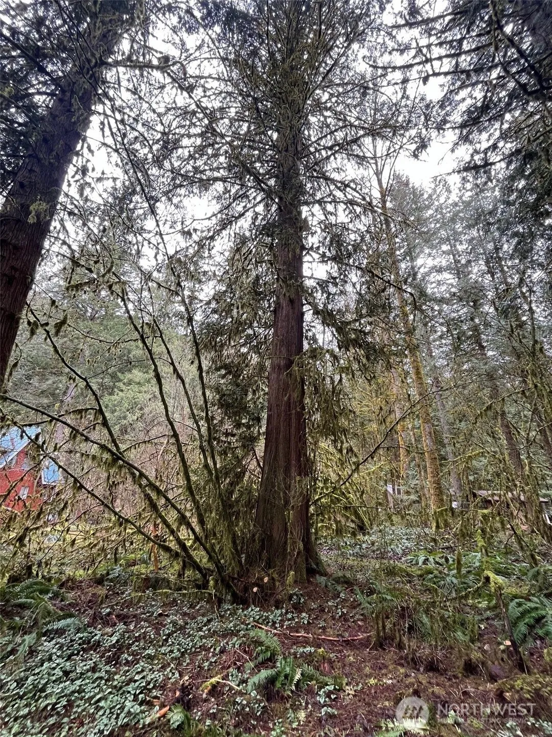 Property photo for 7138 Rainier Way, Glacier photo 5