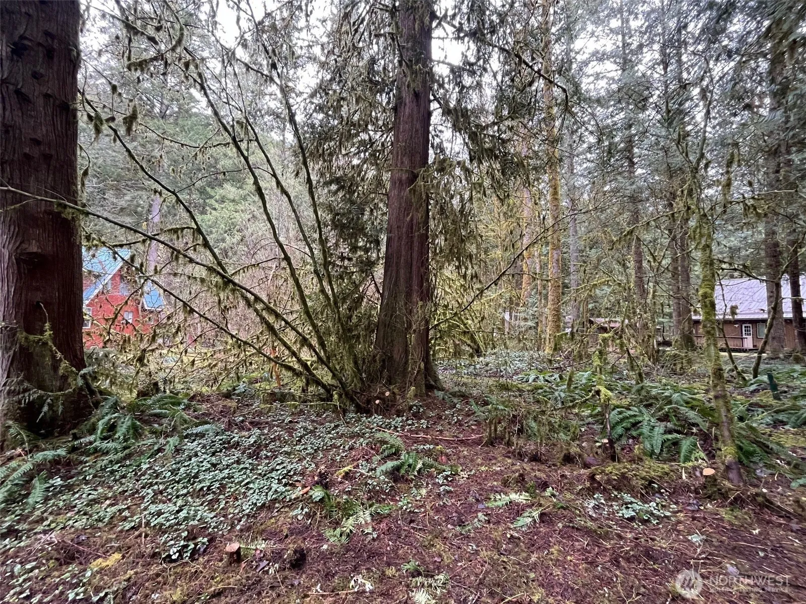 Property photo for 7138 Rainier Way, Glacier photo 3