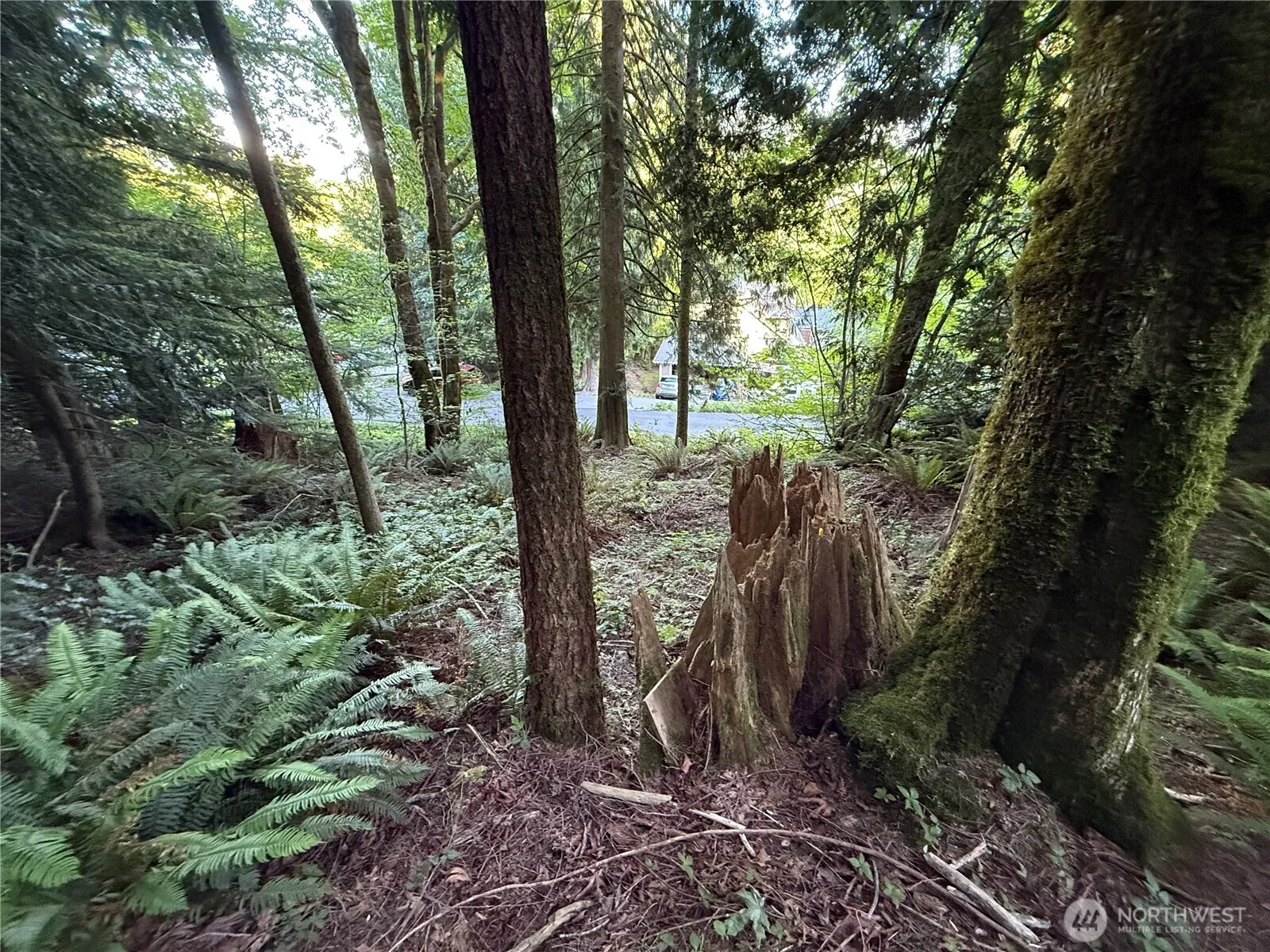 Property photo for 0 West Road, Sedro Woolley