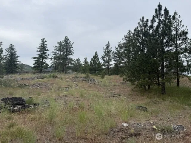 Property photo for 111 Tbd Patterson Creek, Tonasket