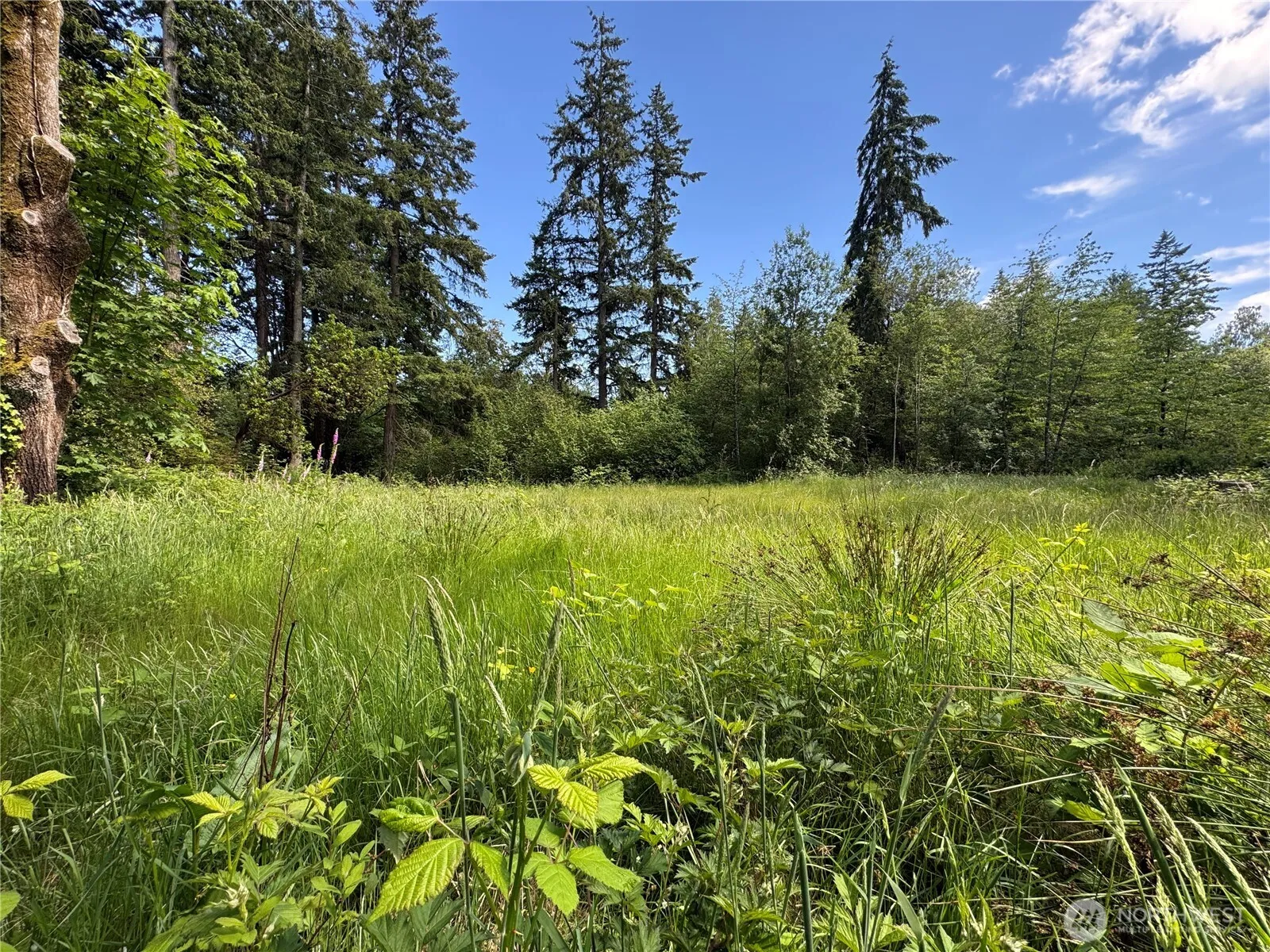 Property photo for 16330 93rd Avenue Sw, Vashon