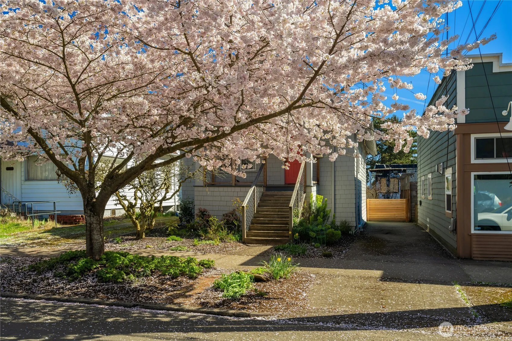 Property photo for 906 19th Avenue, Seattle photo 4