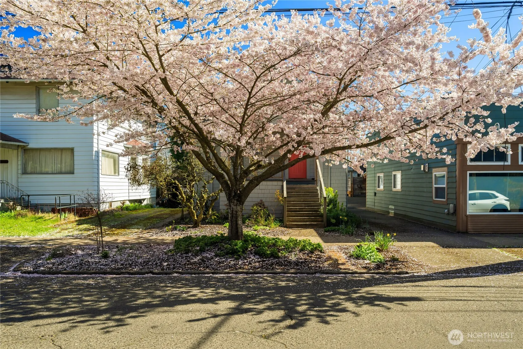 Property photo for 906 19th Avenue, Seattle photo 5