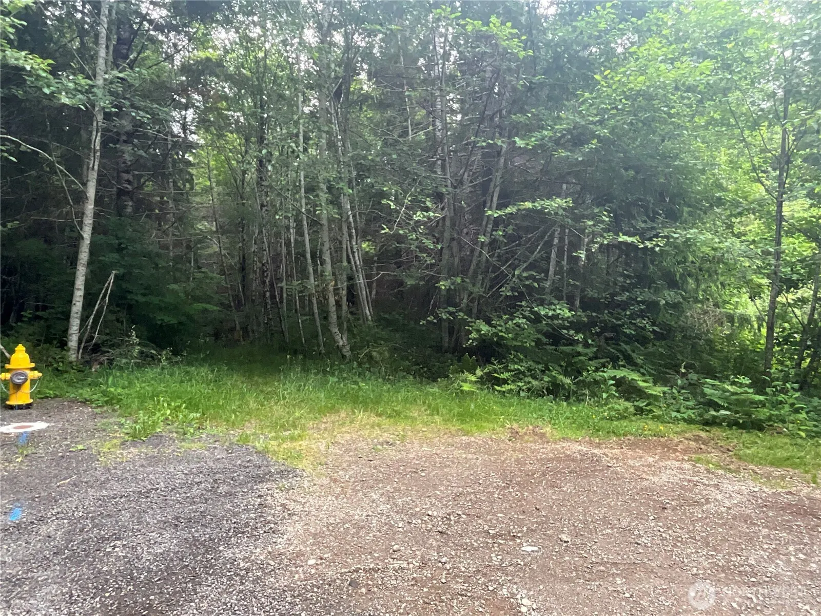 Property photo for 310 W Thunderbird Drive, Elma