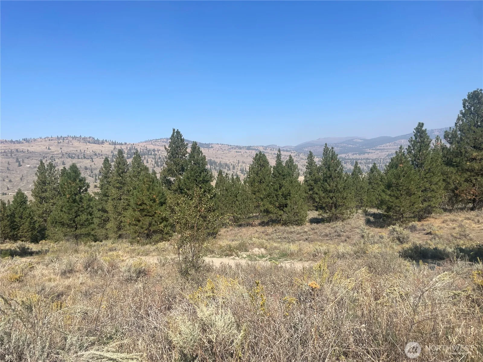 Property photo for 0 Tbd Reevas Basin Road, Tonasket photo 2