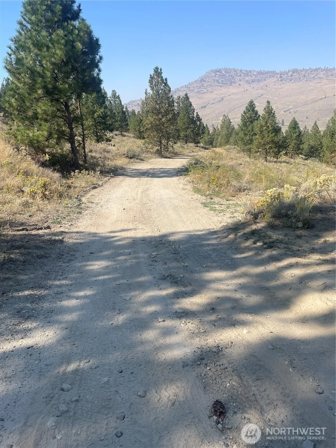 Property photo for 0 Tbd Reevas Basin Road, Tonasket photo 4