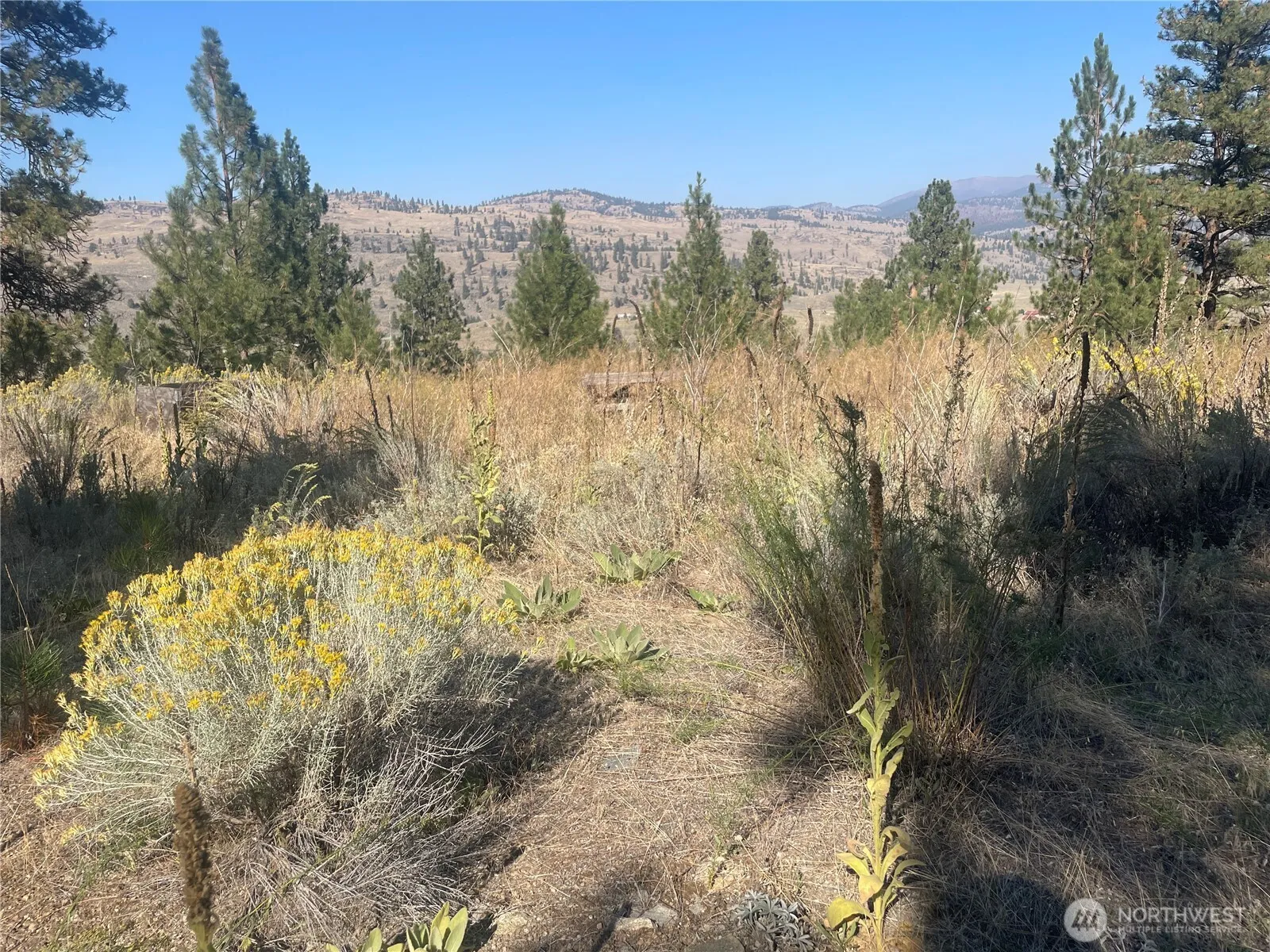 Property photo for 0 Tbd Reevas Basin Road, Tonasket