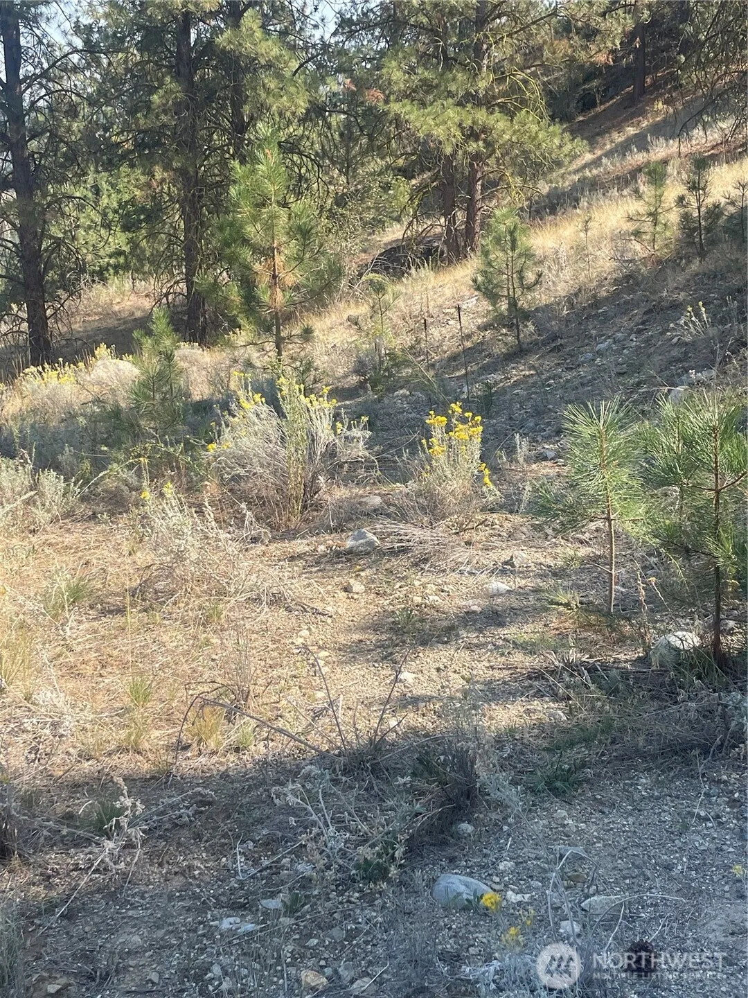 Property photo for 0 Tbd Reevas Basin Road, Tonasket photo 5
