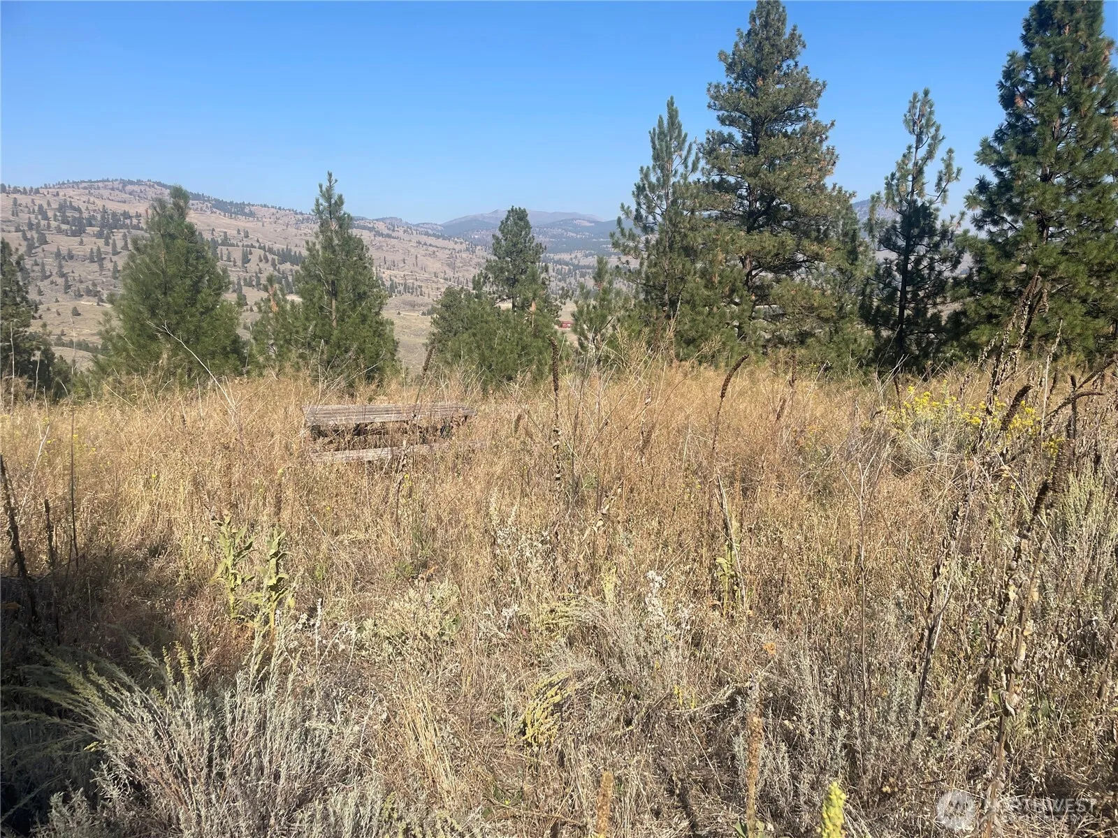 Property photo for 0 Tbd Reevas Basin Road, Tonasket photo 3