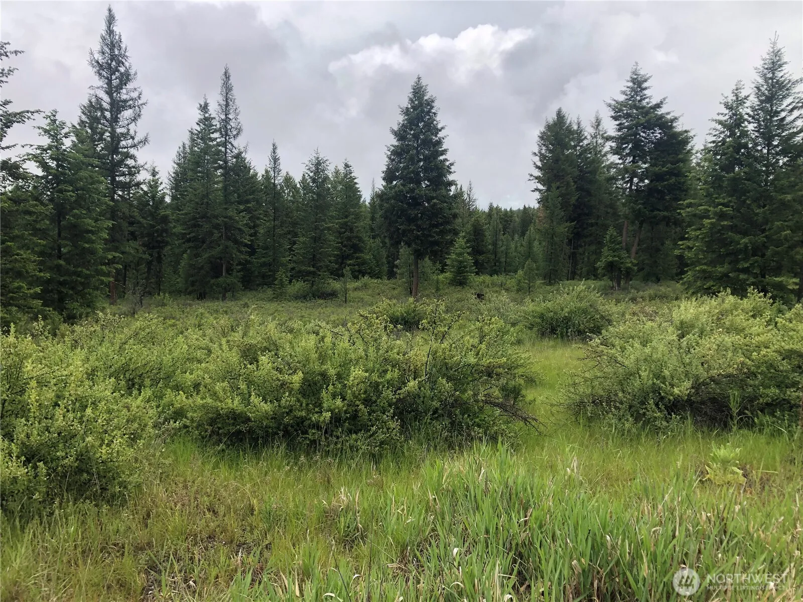 Property photo for 36 Corral Drive, Oroville