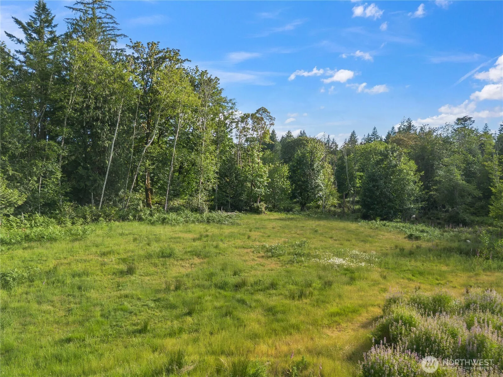 Property photo for 641 E Jared Road, Shelton