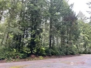 Property photo for 11307 114th Street Ct, Anderson Island