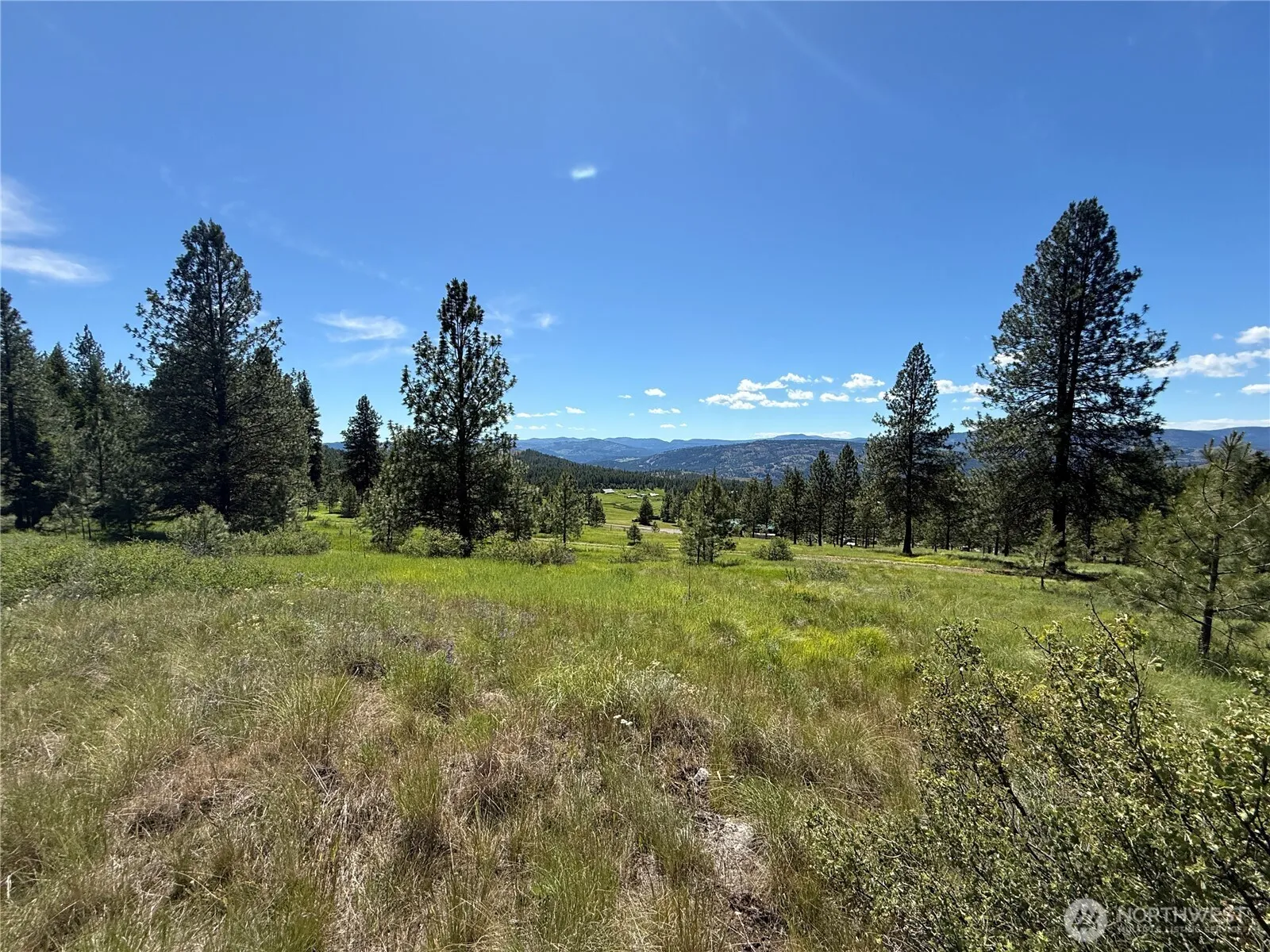 Property photo for 5 Hidden Spring Ranch Road, Republic photo 3