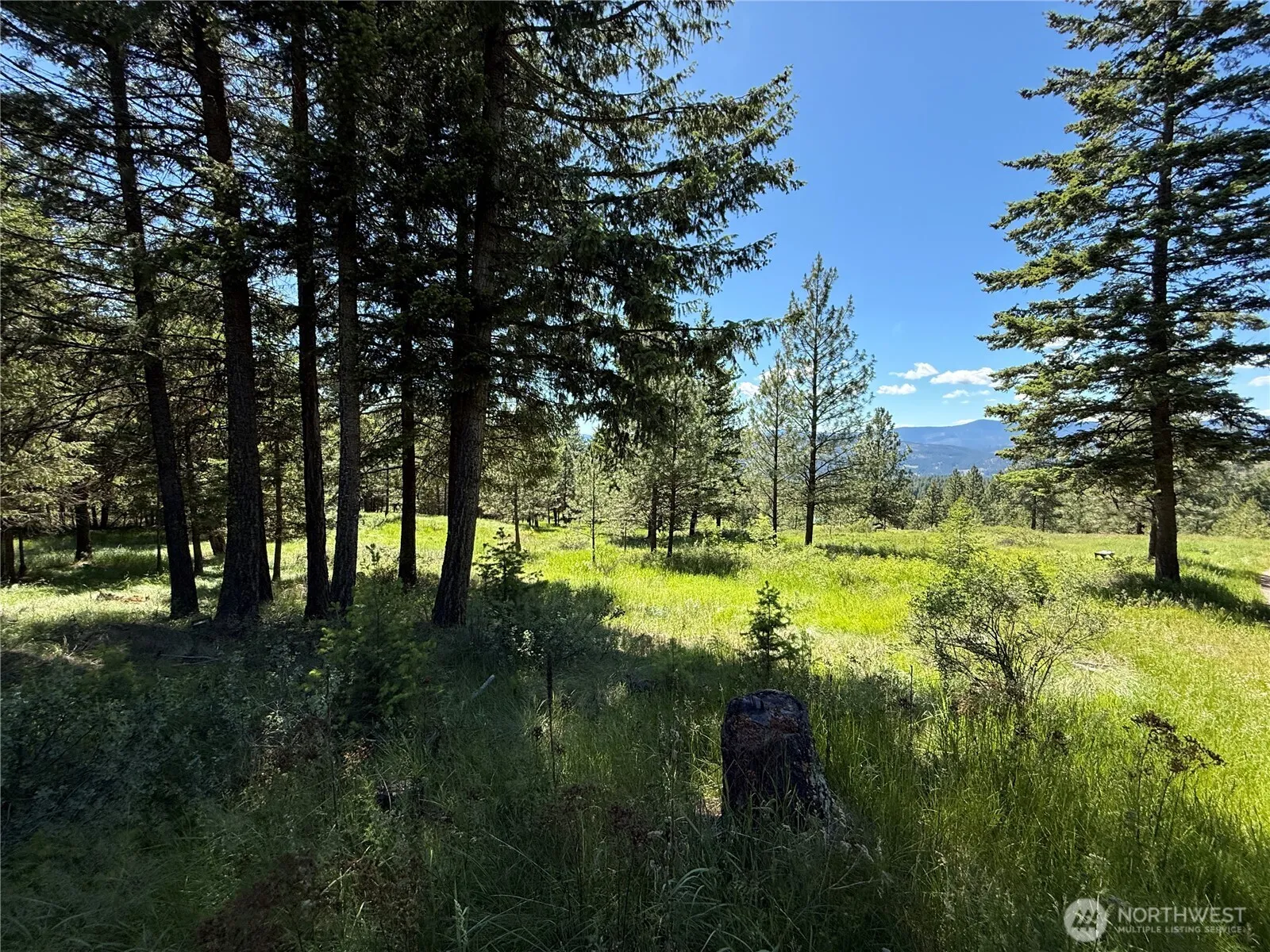 Property photo for 5 Hidden Spring Ranch Road, Republic