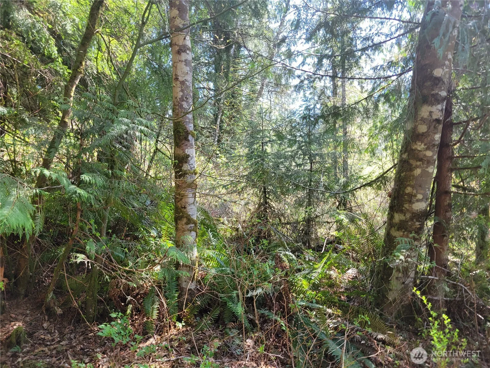 Property photo for 0 Xxx Mtn Loop Highway, Granite Falls photo 4