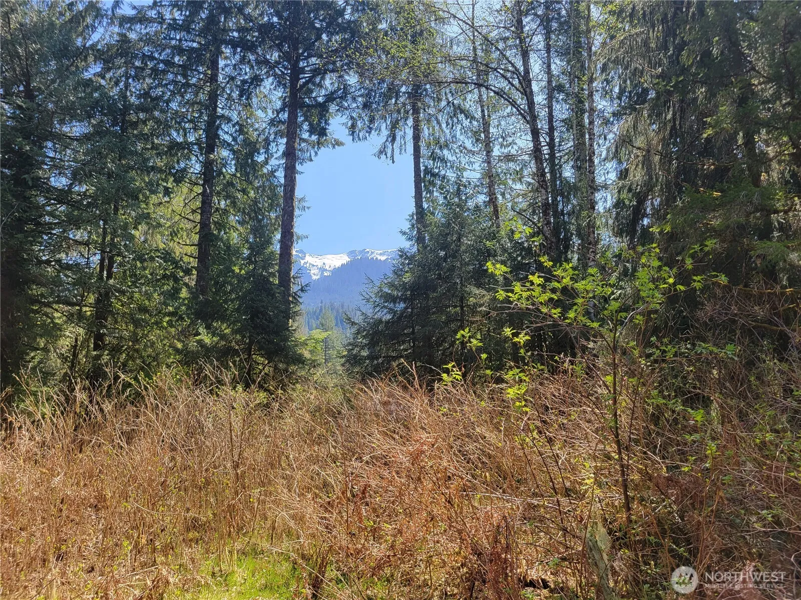 Property photo for 0 Xxx Mtn Loop Highway, Granite Falls