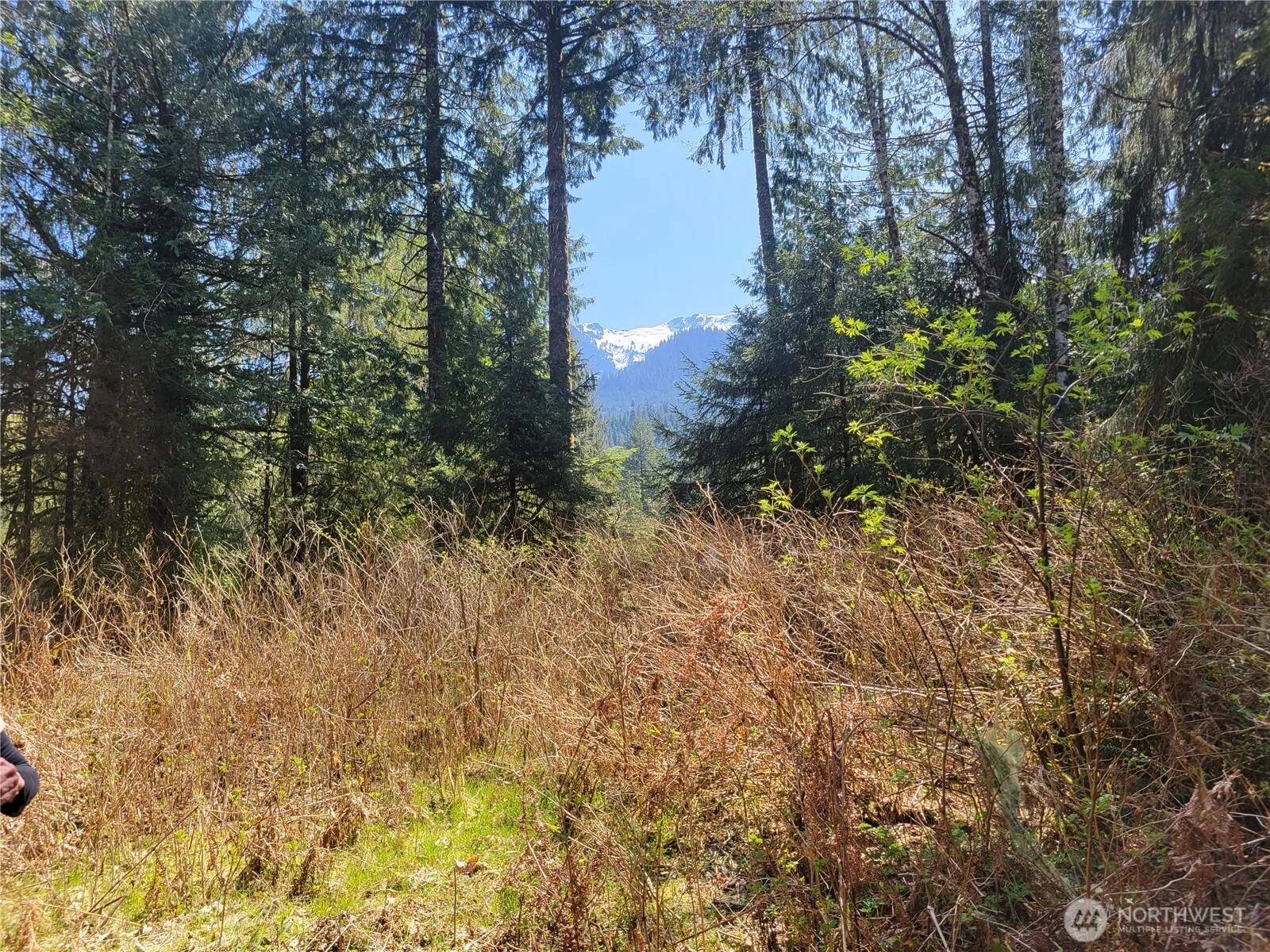 Property photo for 0 Xxx Mtn Loop Highway, Granite Falls photo 2