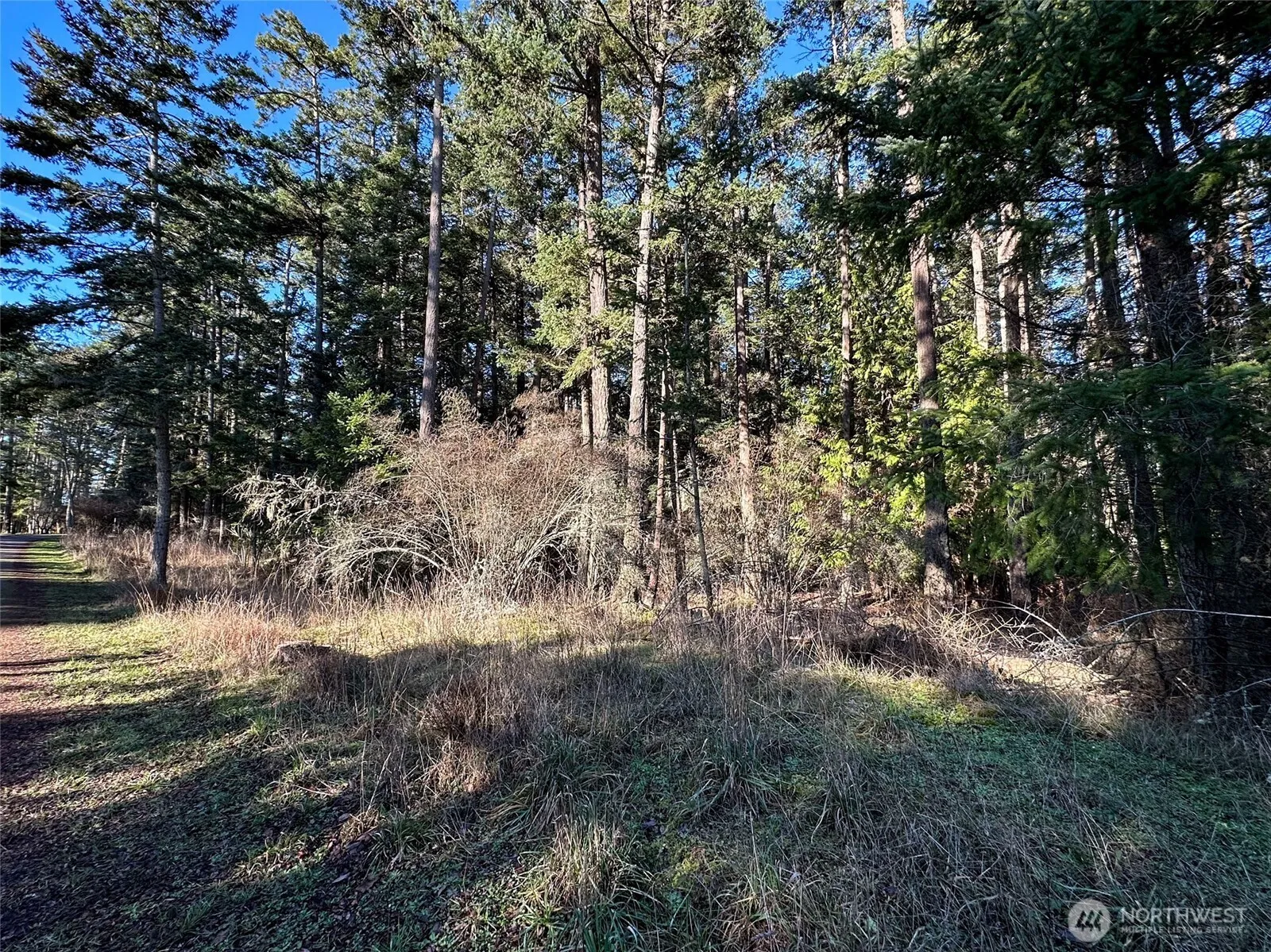 Property photo for 206 Island Drive, Friday Harbor photo 4