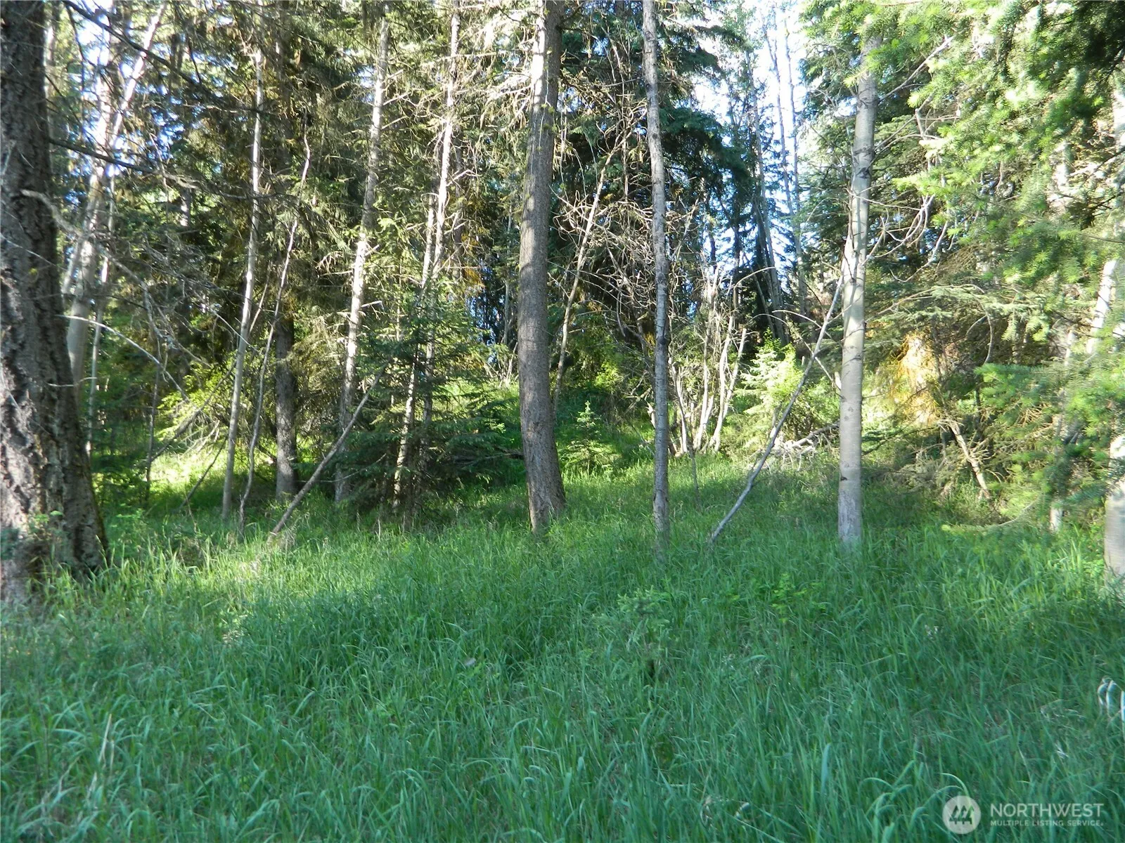 Property photo for 0 Tbd Lake View Drive, Oroville