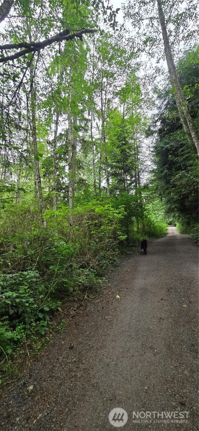Property photo for 0 Port Gamble Road Ne, Poulsbo photo 5