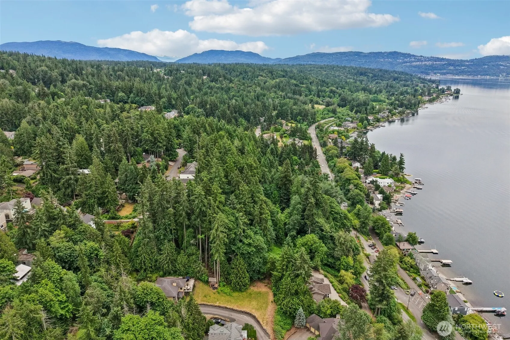 Property photo for 0 Xxxx 205th Avenue Ne, Sammamish photo 4
