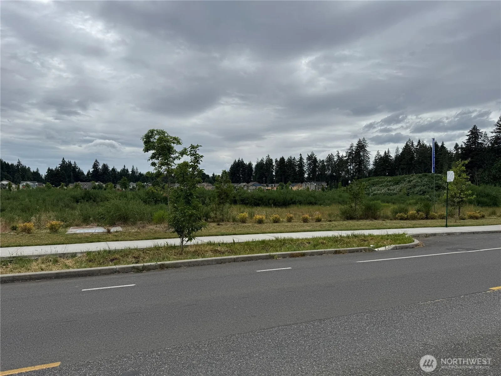 Property photo for 2520 Park View Street Ne, Olympia photo 5