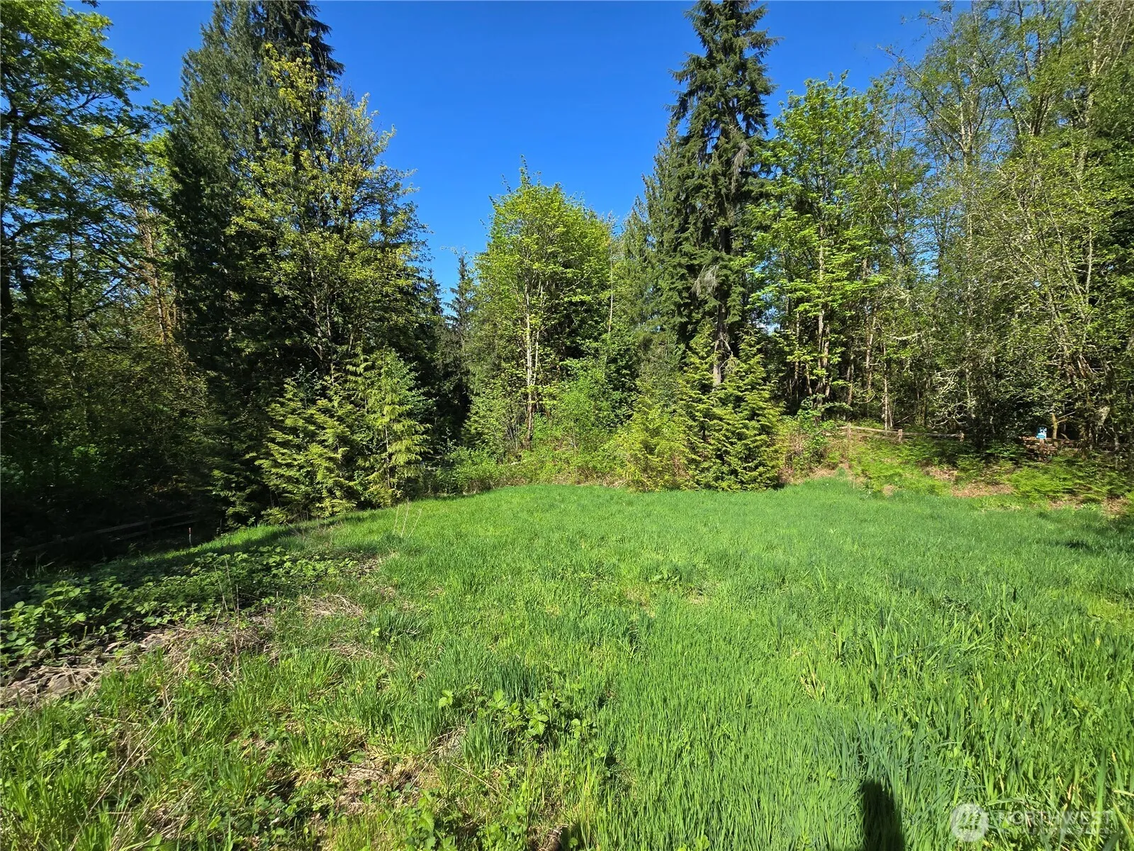 Property photo for 286 Xx Ne 156th Street, Duvall photo 3