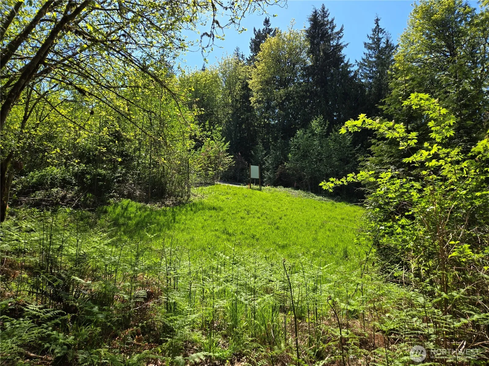 Property photo for 286 Xx Ne 156th Street, Duvall