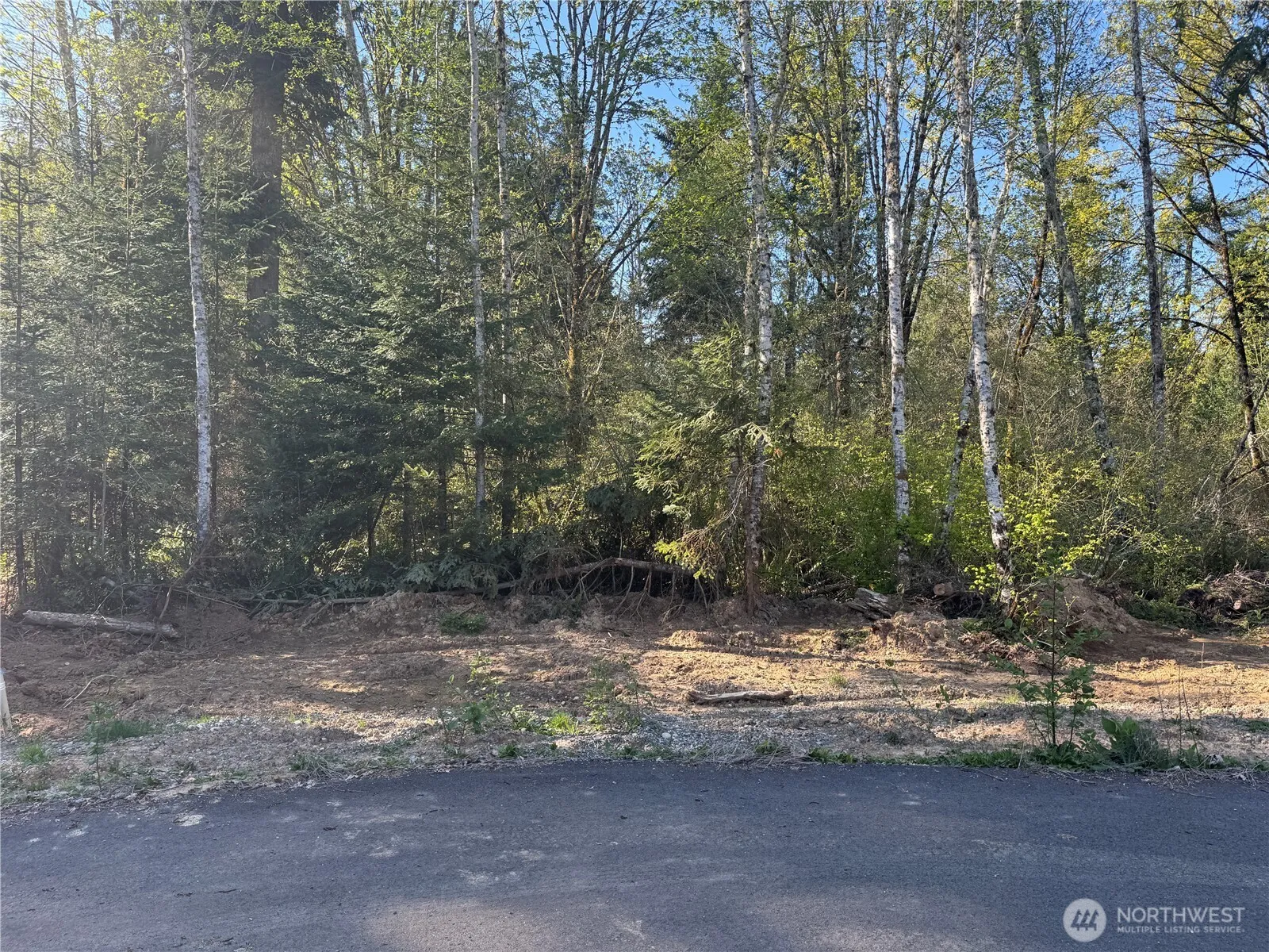 Property photo for 4818 93rd Avenue Se, Olympia photo 5
