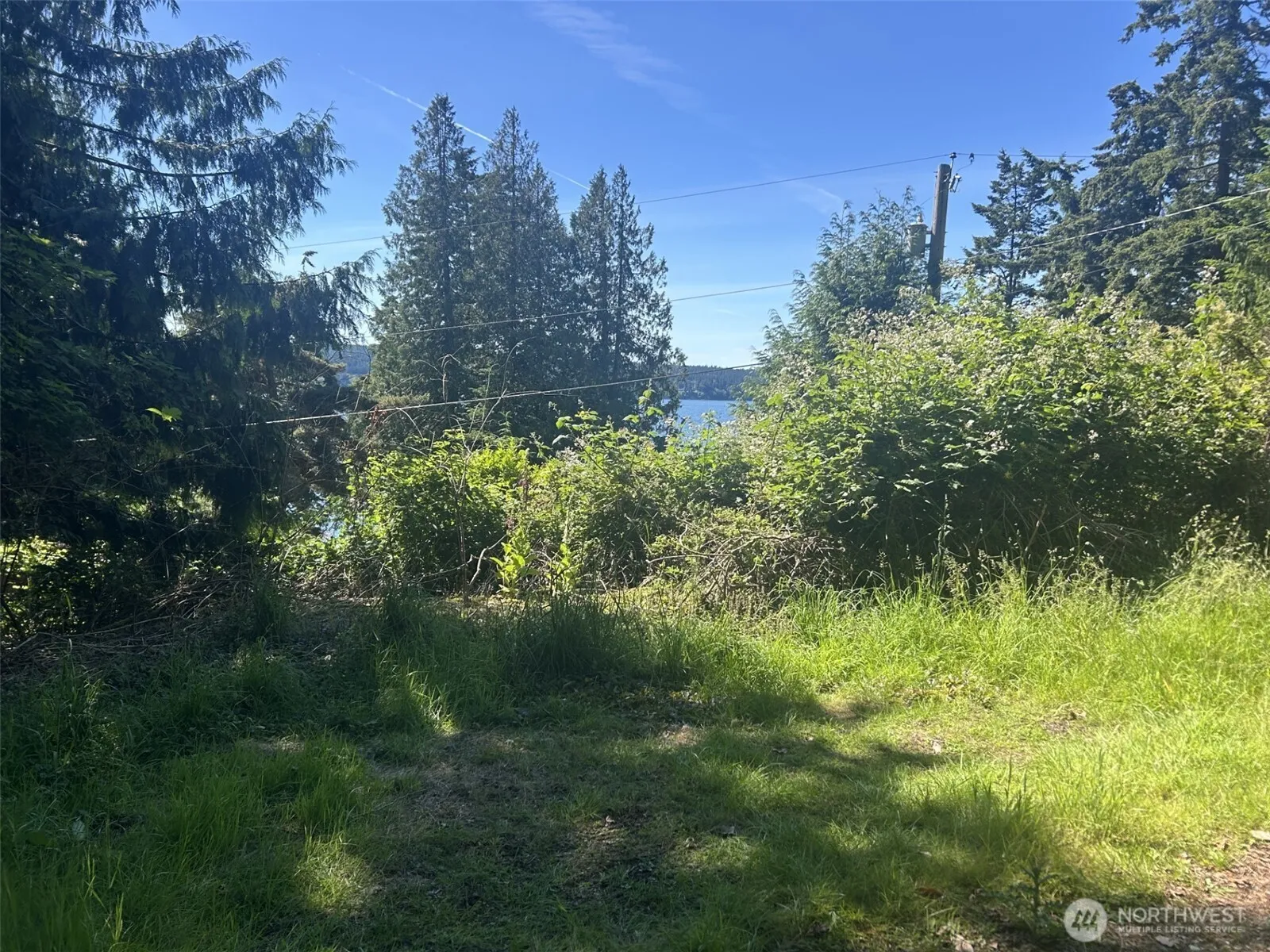 Property photo for 0 Xxxx Beach Drive, Freeland
