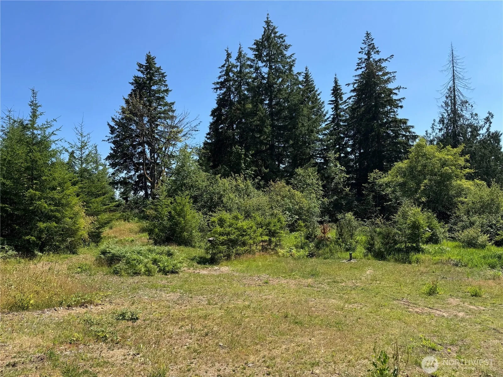 Property photo for 8143 Todderjen Lane Sw, Olympia photo 4