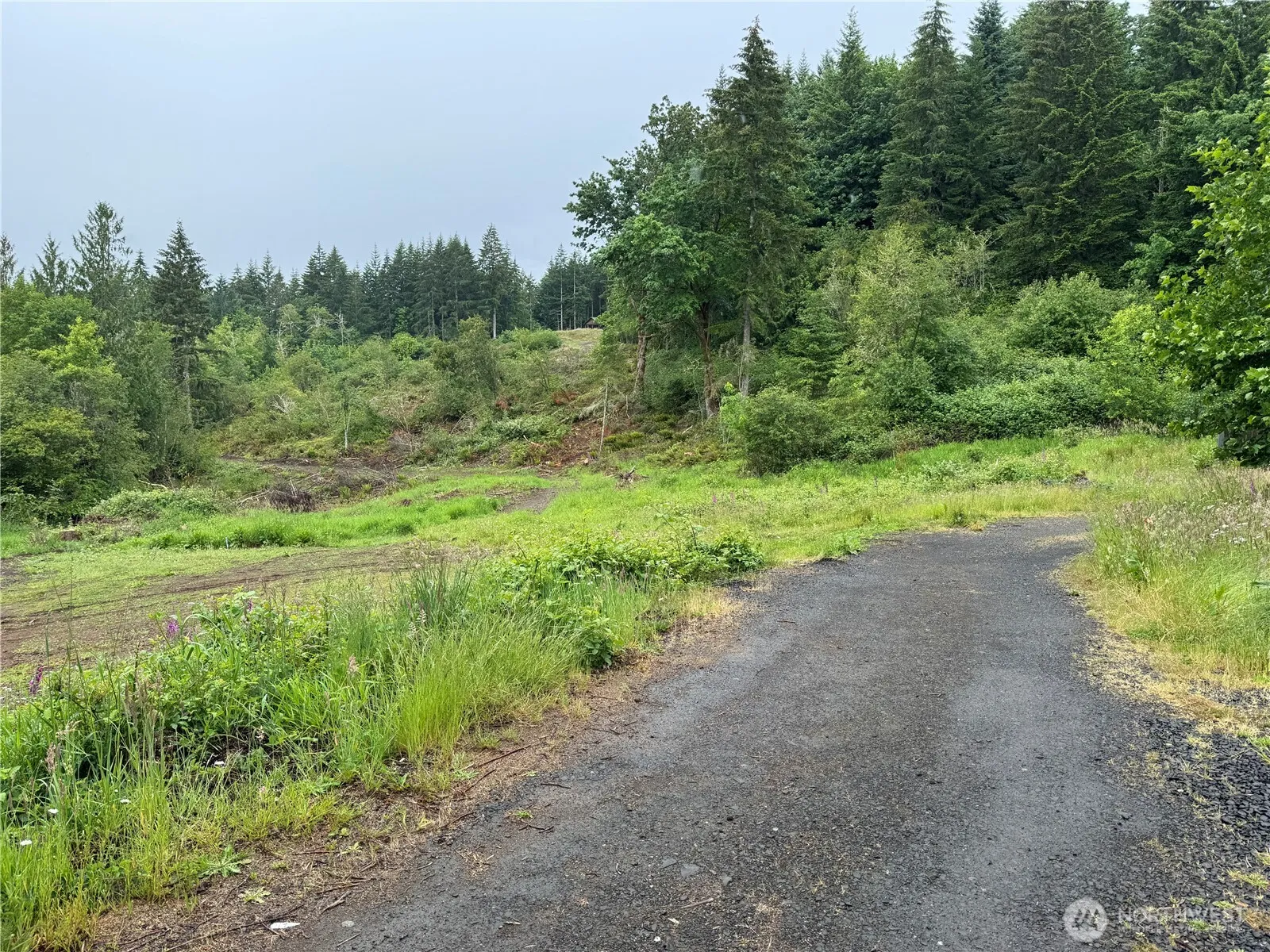 Property photo for 8143 Todderjen Lane Sw, Olympia