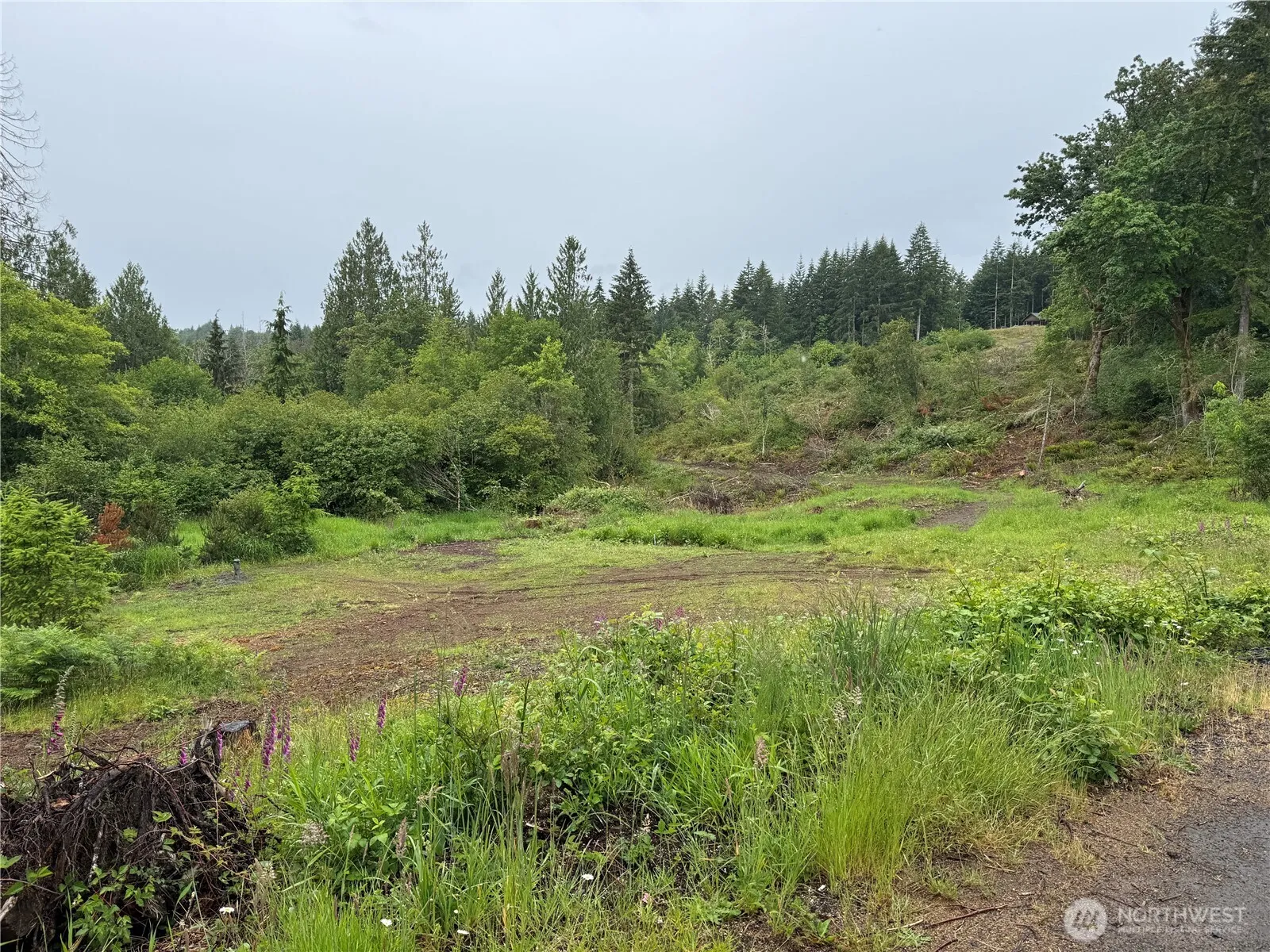 Property photo for 8143 Todderjen Lane Sw, Olympia