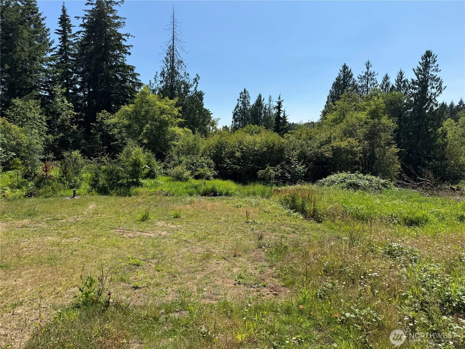 Property photo for 8143 Todderjen Lane Sw, Olympia photo 5