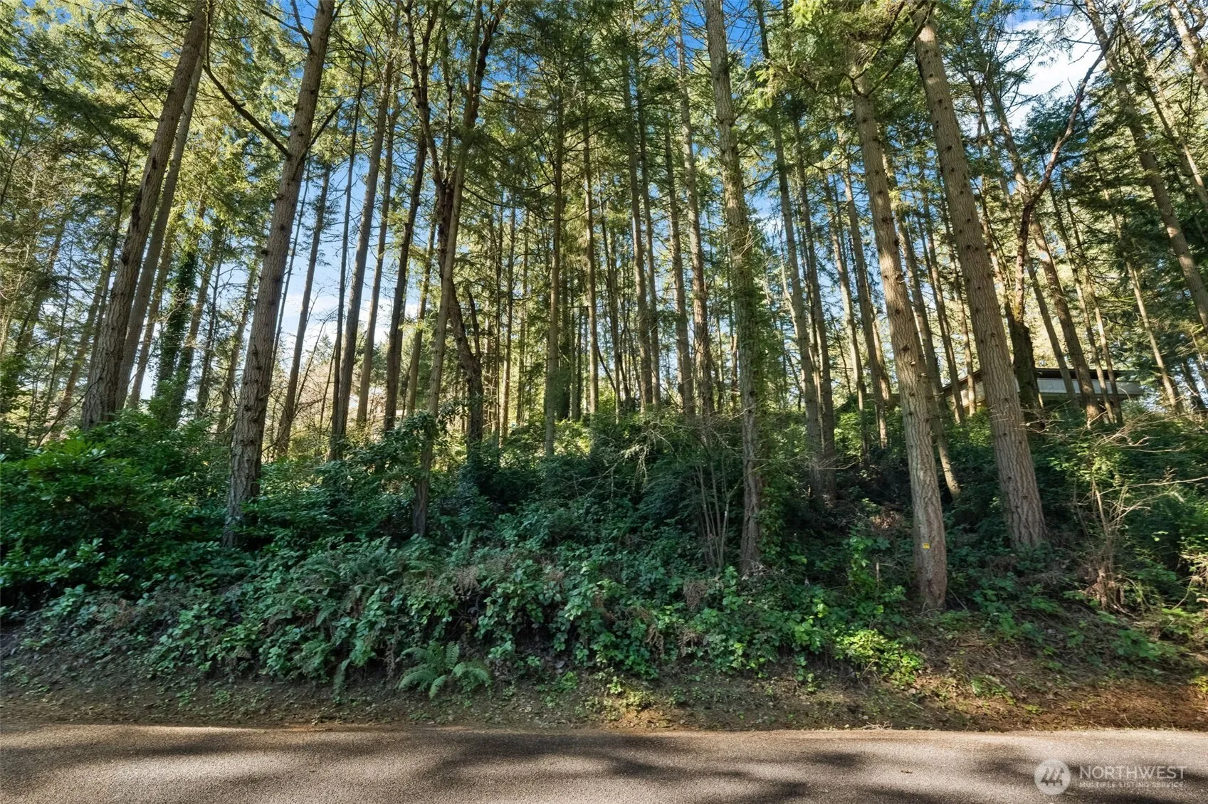 Property photo for 0 Lucille Parkway Nw, Gig Harbor photo 5