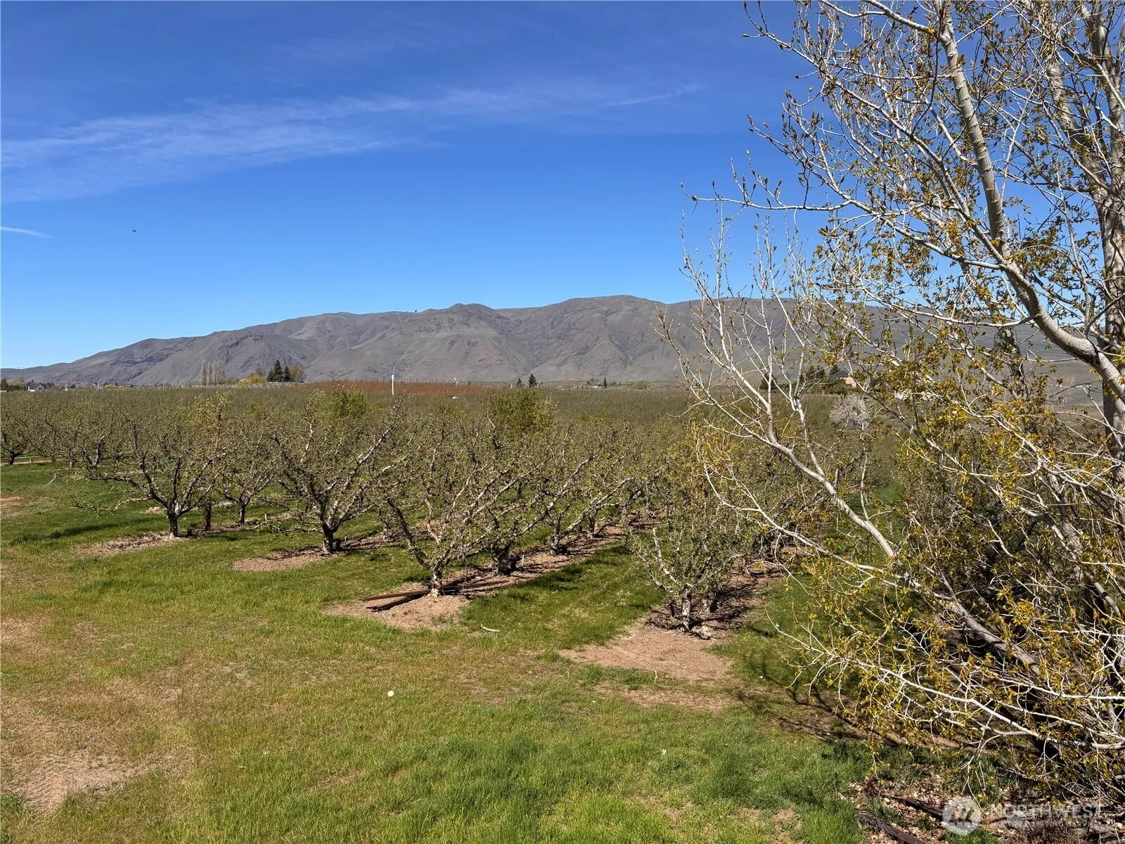 Property photo for 0 Rosenkranze Road, Tieton photo 4