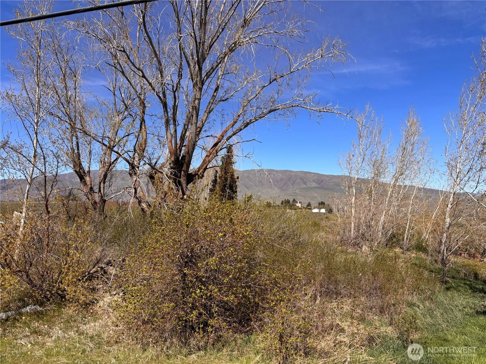 Property photo for 0 Rosenkranze Road, Tieton photo 2