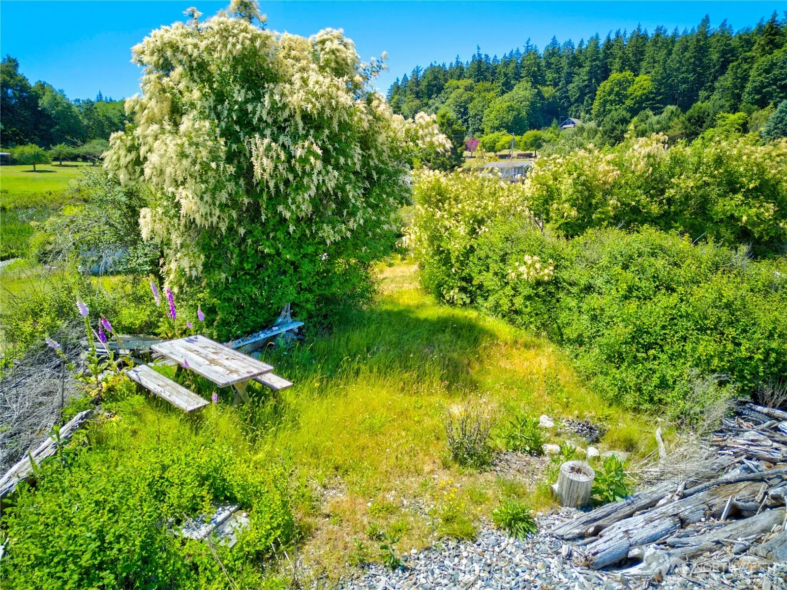 Property photo for 6291 Seaway Hollow Road, Anacortes photo 4